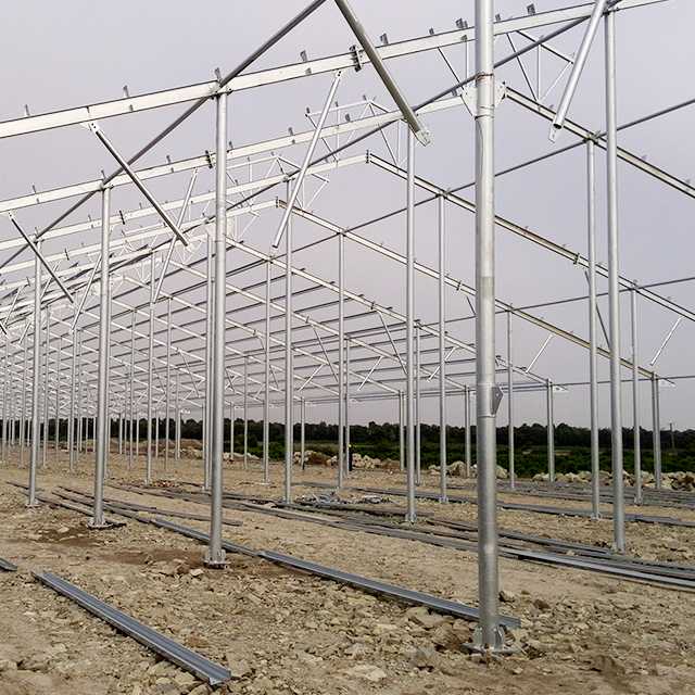 Steel Structure For Cow House